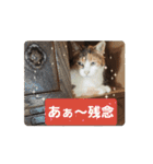 わらびとつむ（個別スタンプ：16）