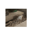 お歳暮のハムたち（個別スタンプ：12）