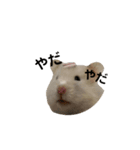 お歳暮のハムたち（個別スタンプ：13）