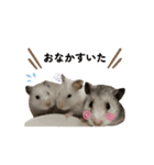 お歳暮のハムたち（個別スタンプ：15）