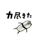 【夏】豆パンダ/大人・丁寧（個別スタンプ：29）