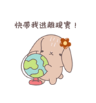 ふわもこウサちゃんの日常会話スタンプ（個別スタンプ：4）