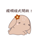 ふわもこウサちゃんの日常会話スタンプ（個別スタンプ：24）