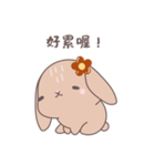 ふわもこウサちゃんの日常会話スタンプ（個別スタンプ：25）