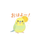 ゆるふわインコちゃん♡（個別スタンプ：1）