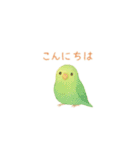 ゆるふわインコちゃん♡（個別スタンプ：3）