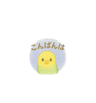 ゆるふわインコちゃん♡（個別スタンプ：4）