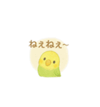 ゆるふわインコちゃん♡（個別スタンプ：9）