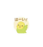 ゆるふわインコちゃん♡（個別スタンプ：10）