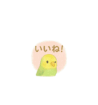 ゆるふわインコちゃん♡（個別スタンプ：11）