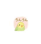 ゆるふわインコちゃん♡（個別スタンプ：12）