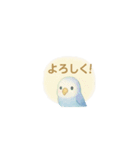 ゆるふわインコちゃん♡（個別スタンプ：14）