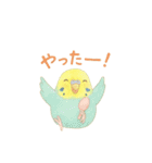 ゆるふわインコちゃん♡（個別スタンプ：17）
