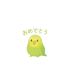 ゆるふわインコちゃん♡（個別スタンプ：19）