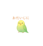 ゆるふわインコちゃん♡（個別スタンプ：20）