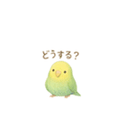 ゆるふわインコちゃん♡（個別スタンプ：22）