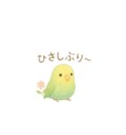 ゆるふわインコちゃん♡（個別スタンプ：23）