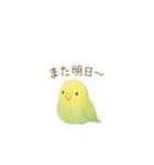 ゆるふわインコちゃん♡（個別スタンプ：24）