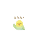 ゆるふわインコちゃん♡（個別スタンプ：27）