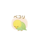 ゆるふわインコちゃん♡（個別スタンプ：29）