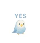 ゆるふわインコちゃん♡（個別スタンプ：30）