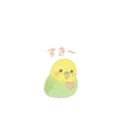 ゆるふわインコちゃん♡（個別スタンプ：34）