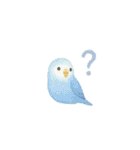 ゆるふわインコちゃん♡（個別スタンプ：35）
