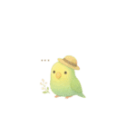 ゆるふわインコちゃん♡（個別スタンプ：36）