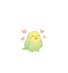 ゆるふわインコちゃん♡（個別スタンプ：37）