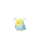 ゆるふわインコちゃん♡（個別スタンプ：38）