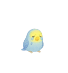 ゆるふわインコちゃん♡（個別スタンプ：39）