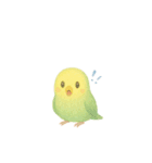 ゆるふわインコちゃん♡（個別スタンプ：40）