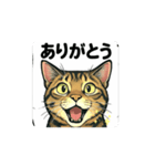 大豆ちゃん_猫スタンプ（個別スタンプ：1）