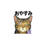 大豆ちゃん_猫スタンプ（個別スタンプ：3）