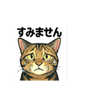 大豆ちゃん_猫スタンプ（個別スタンプ：4）