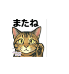 大豆ちゃん_猫スタンプ（個別スタンプ：6）
