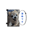 セレサ2（個別スタンプ：8）