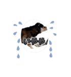 動くかんべえ（個別スタンプ：8）