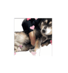 動くかんべえ（個別スタンプ：9）