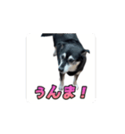 動くかんべえ（個別スタンプ：10）