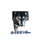 動くかんべえ（個別スタンプ：12）