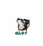 動くかんべえ（個別スタンプ：13）