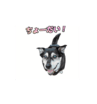動くかんべえ（個別スタンプ：14）