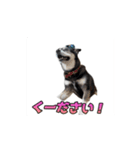 動くかんべえ（個別スタンプ：15）