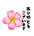 ❤️動くプルメリアと大きな文字のご挨拶❤️（個別スタンプ：19）