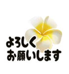❤️動くプルメリアと大きな文字のご挨拶❤️（個別スタンプ：20）