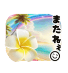 ❤️動くプルメリアと大きな文字のご挨拶❤️（個別スタンプ：24）