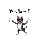 落書きな毎日使えるボストンテリア（個別スタンプ：34）