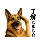 シェパード★毎日使う敬語集シンプル（個別スタンプ：12）