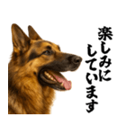 シェパード★毎日使う敬語集シンプル（個別スタンプ：19）